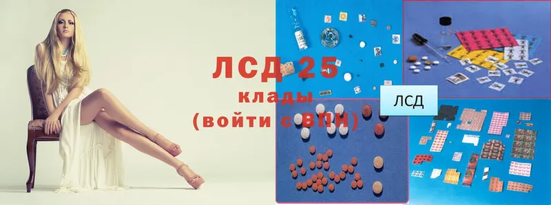 Как найти закладки Новая Ладога АМФ  Cocaine  Гашиш  Конопля  APVP 